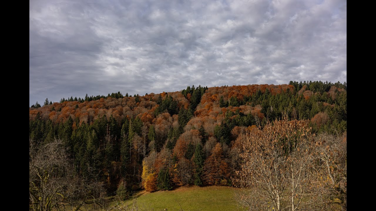 Südschwarzwald – Kleines Wiesental - Wanderparkplatz Kreuzweg – Köhlgarten Ostgipfel
