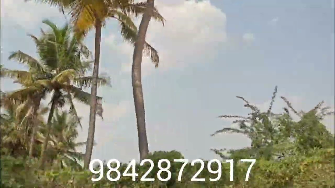 பல்லடம்To தாராபுரம் ரோடு மேட்டுக்கடை அருகில் 7 ஏக்கர் விற்பனைக்கு.1 ஏக்கர் 39 லட்சம் மட்டுமே.