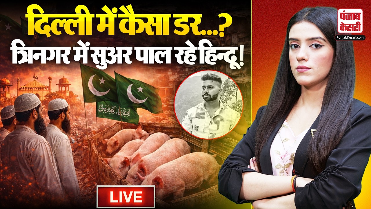 Uttam Nagar Live Update: दिल्ली में यह कैसा डर...? Trinagar में सूअर पाल रहे हिन्दू!