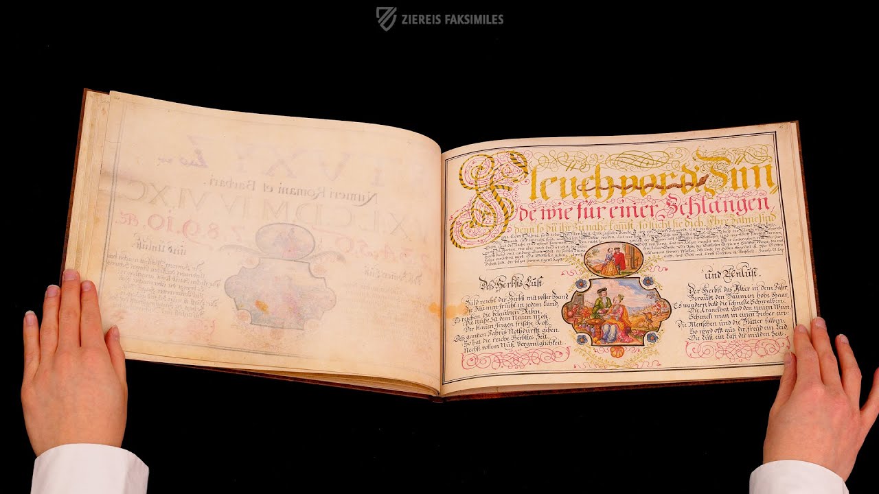 DIE VORSCHRIFFT, TEUTSCH, LATEINISCH, UND FRANZÖSISCHER SCHRIFFTEN - Blättern im Faksimile (4k/UHD)