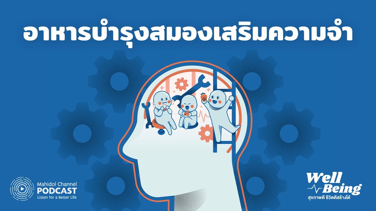[PODCAST] Well-Being | EP.6 - อาหารบำรุงสมองเสริมความจำ | Mahidol Channel