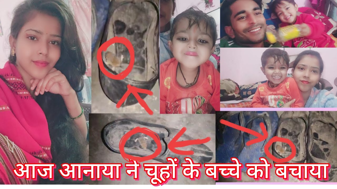 Aaj  Anaya Ne Chuee ke Ek Chote Bcche Ko Bcaya 😀😀| 