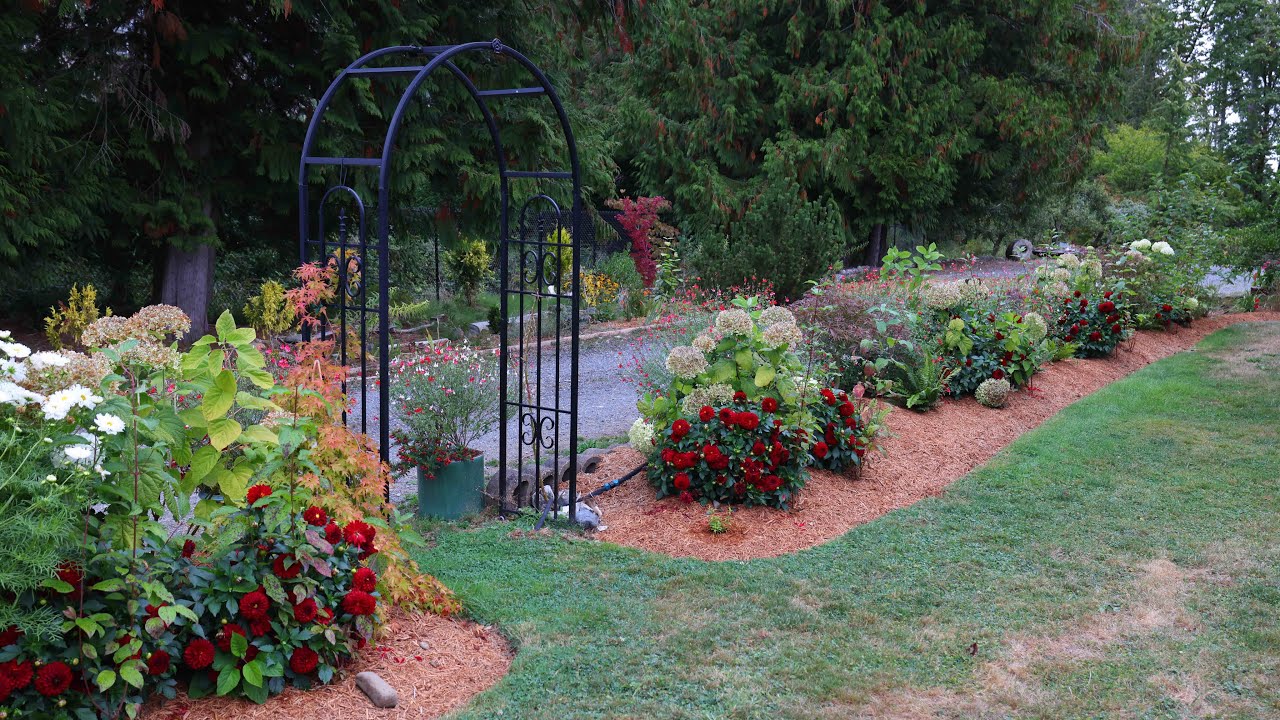 Grass to New Garden Bed in 10min - hummingbird alley