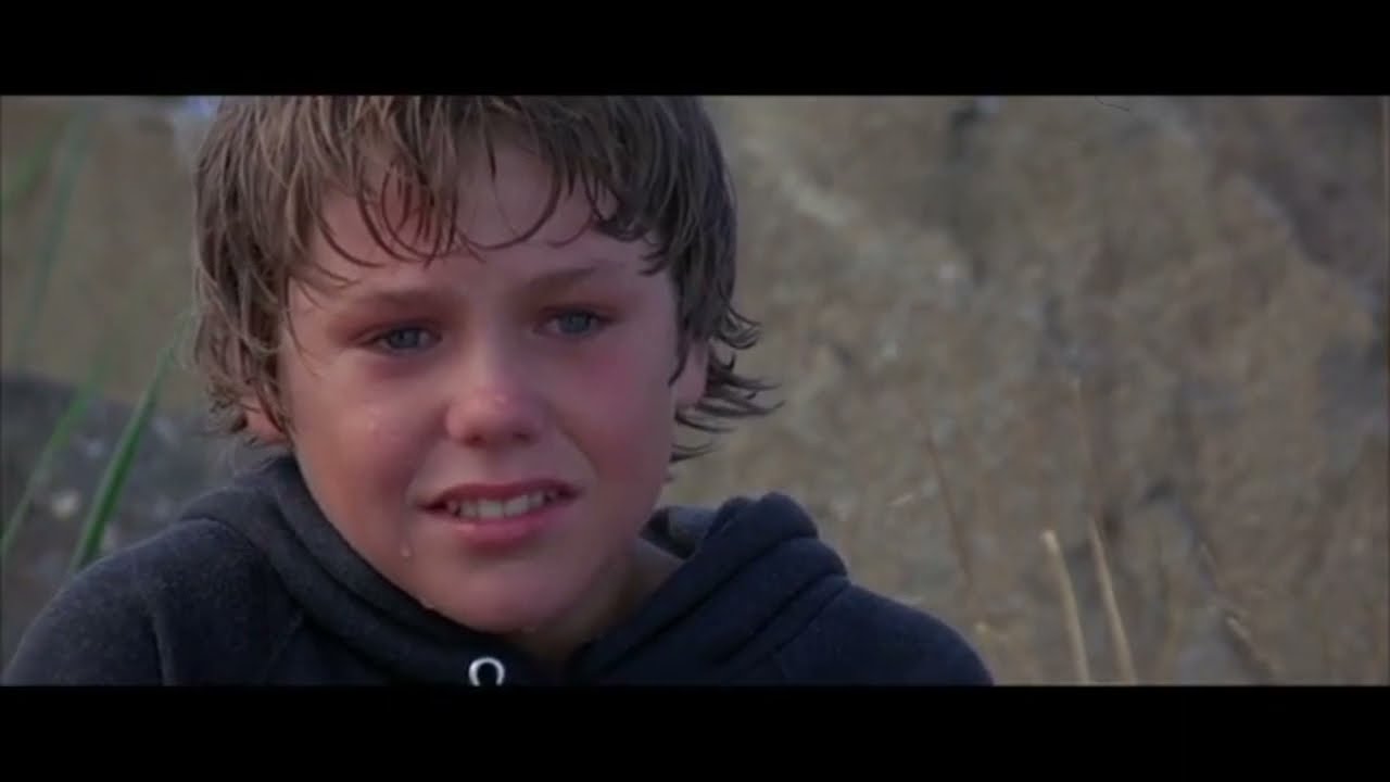 The Beauty of Free Willy