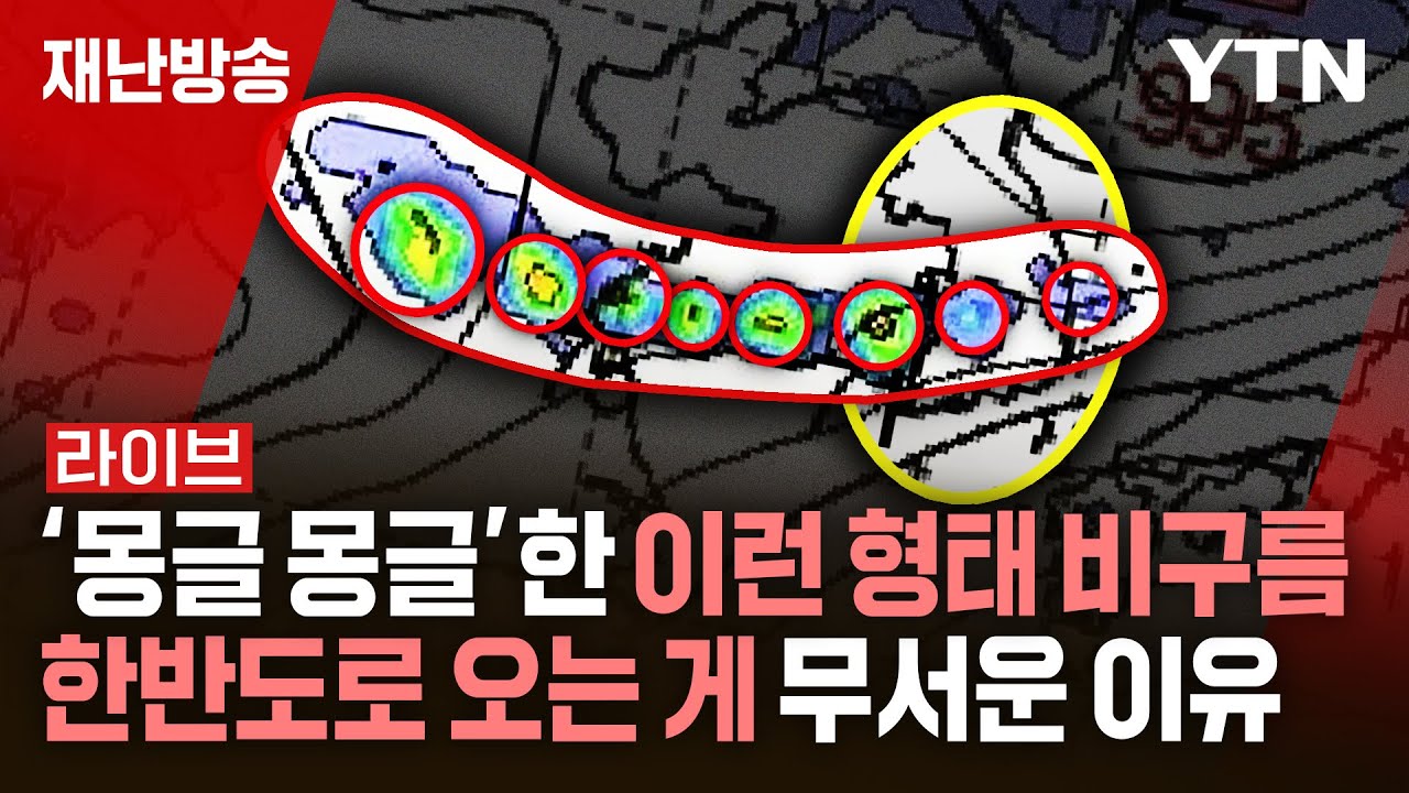 [🔴LIVE] '몽글 몽글'한 이런 형태의 비구름 한반도로 오는 게 무서운 이유 / 재난방송은 YTN