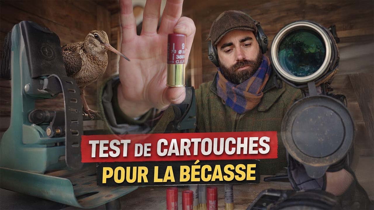 Test cartouches bécasse : bourre grasse, ARX, croisillons | Résultats en cible