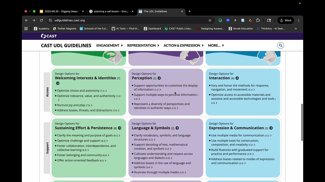 Using the UDL Guidelines Like a Flowchart to Identify Barriers and Create Access