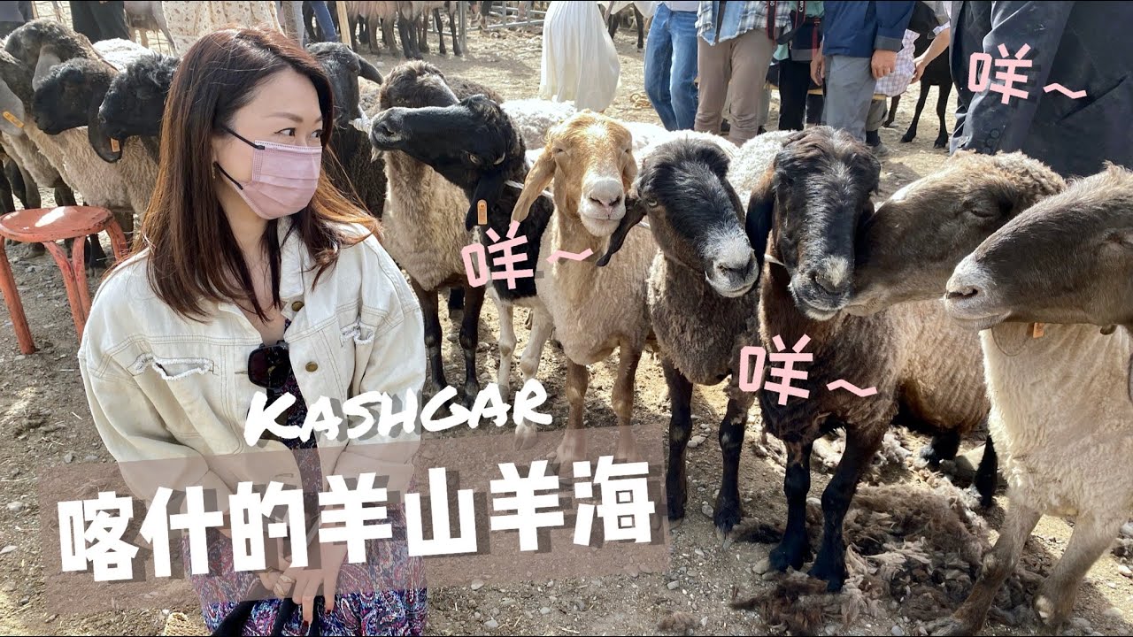 新疆喀什 | 私心推薦牛羊大巴札🐂🐏香妃園 II Kashgar Xinjiang