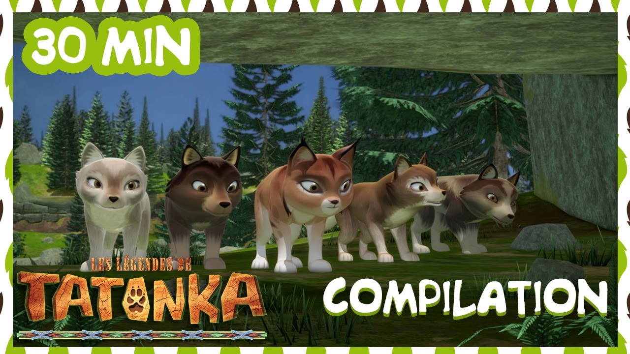 Tatonka en français 🐺 Compilation 30min 👀 Dessins animés de loups