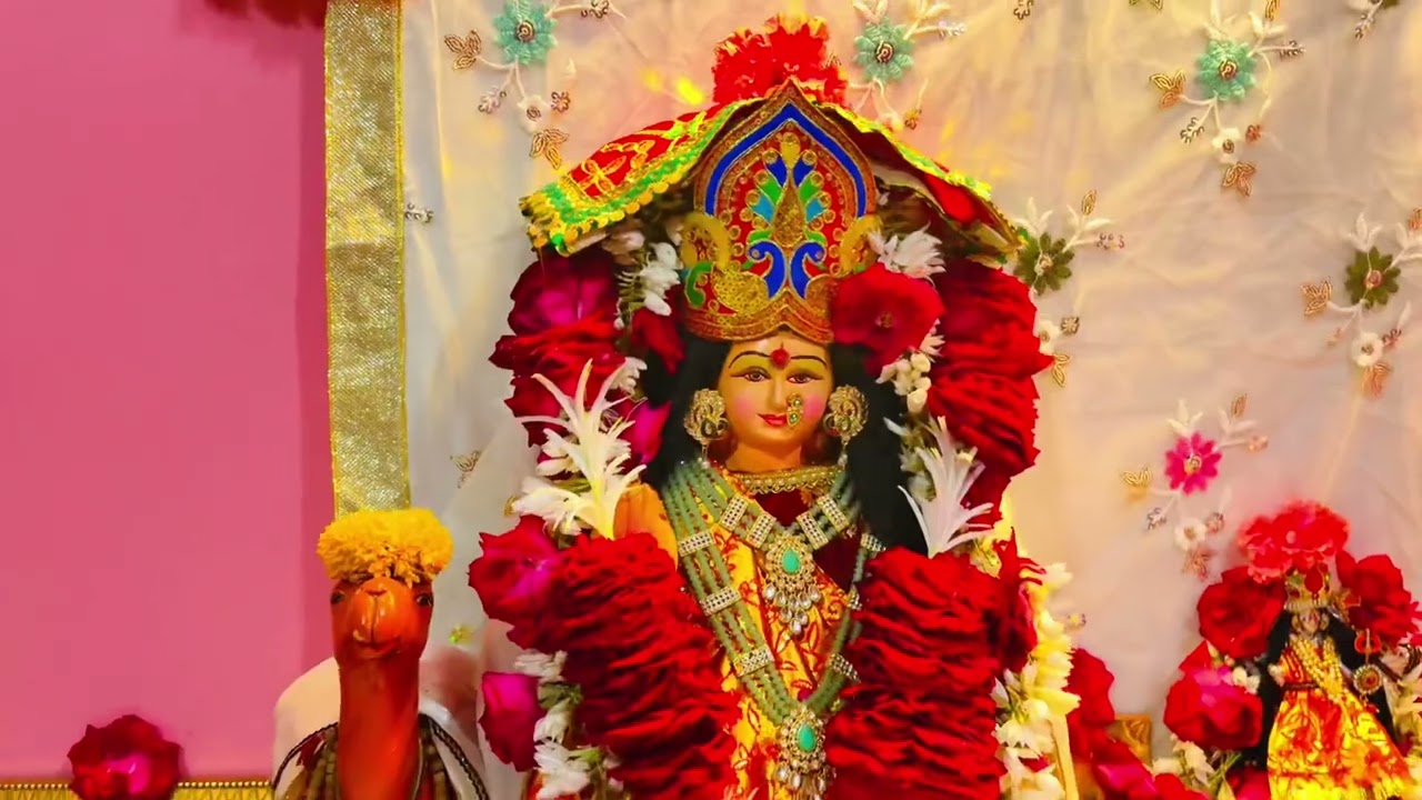 आज दिनांक 12/02/2026 को महा वद दशम के दर्शन #big_fan_of_dasha_maa #momai #maa 