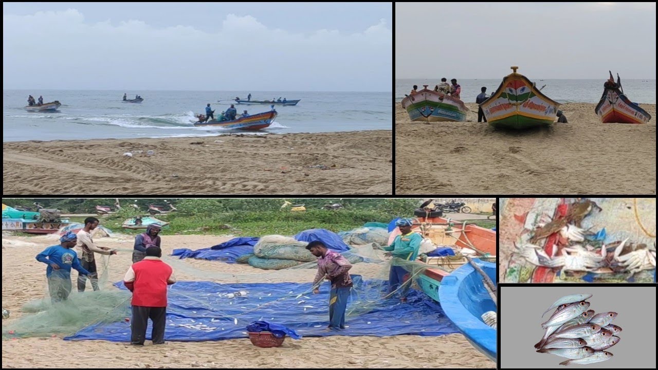 Fish buying vlog on serenity beach | Places to visit in Pondicherry