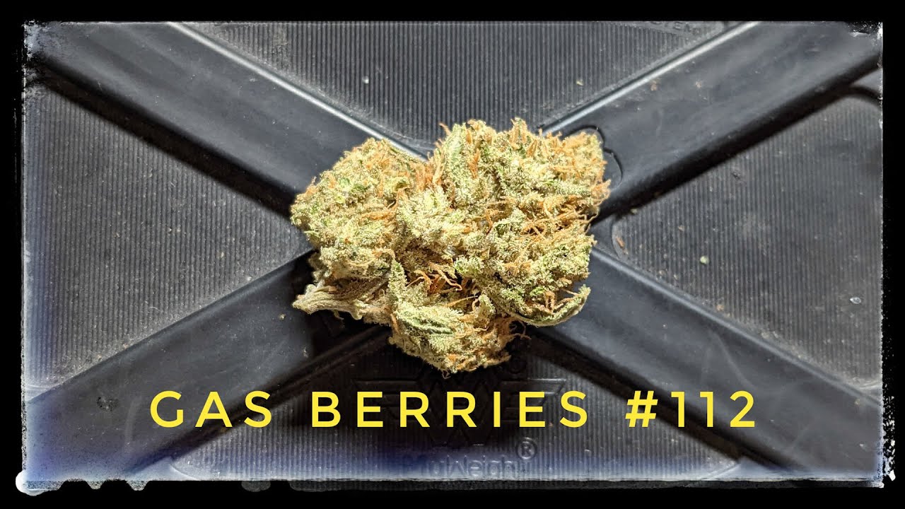 Strain Review - Gas Berries #112 - OGEN