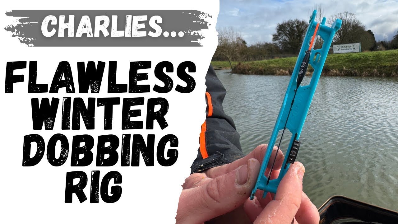 BEST Dobbing Rig EVER? 