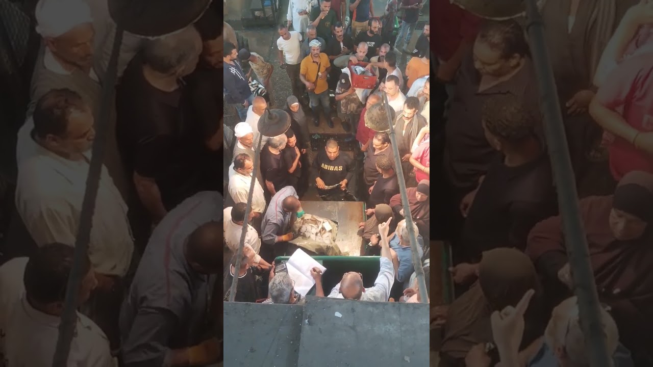 سوق العبور جميع انواع السمك على التورته بيع وشراء وتزويد عطا لو مهتم اتفرج على الفيديو وانت تفهم