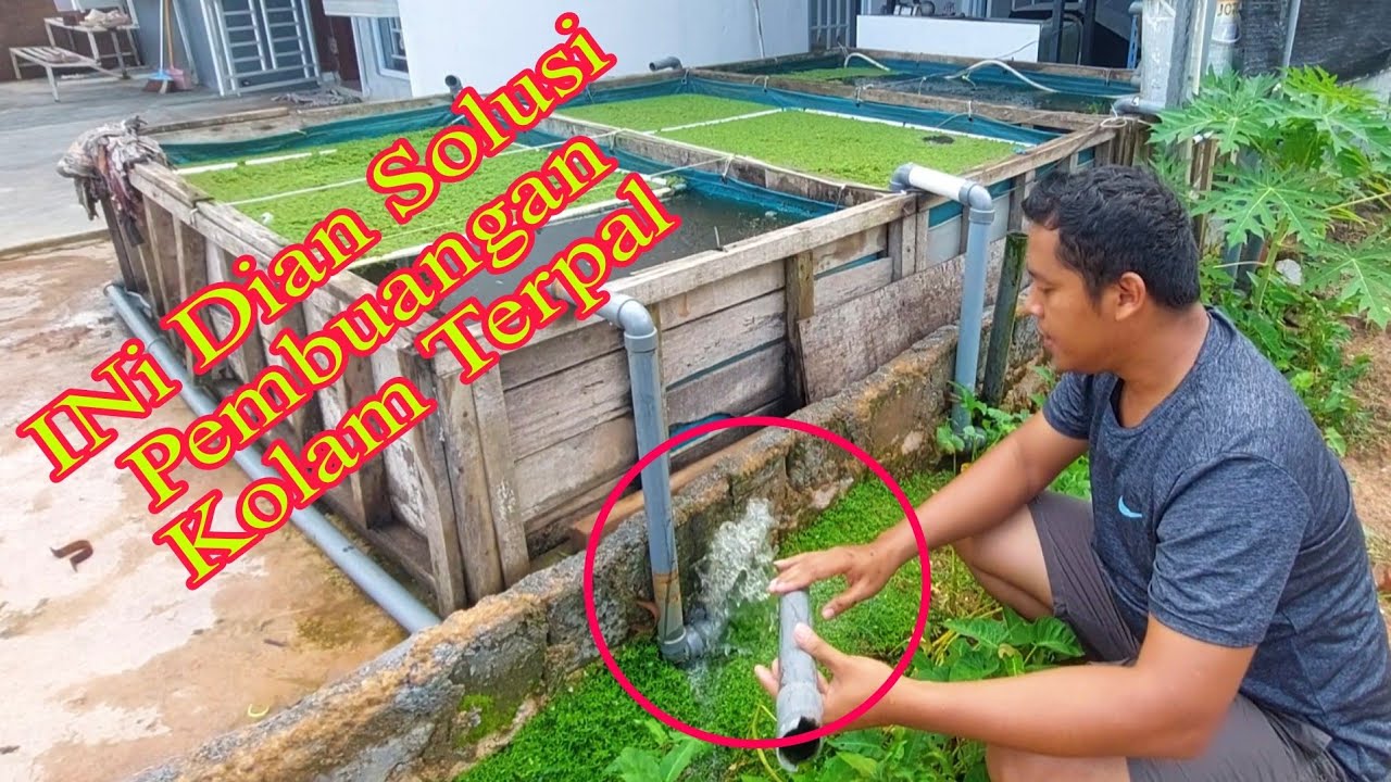 Ini Dia Saluran Pembuangan Kolam Terpal Tanpa Membolongi Terpalnya