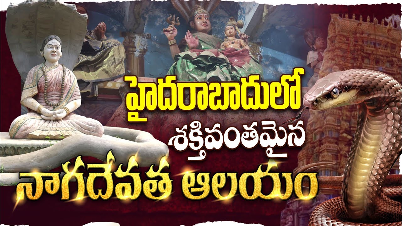 Nagadevata Temple Tirumalagiri|| History Of Naga Devata Temple #youtubeshorts  @Telugu Batasari