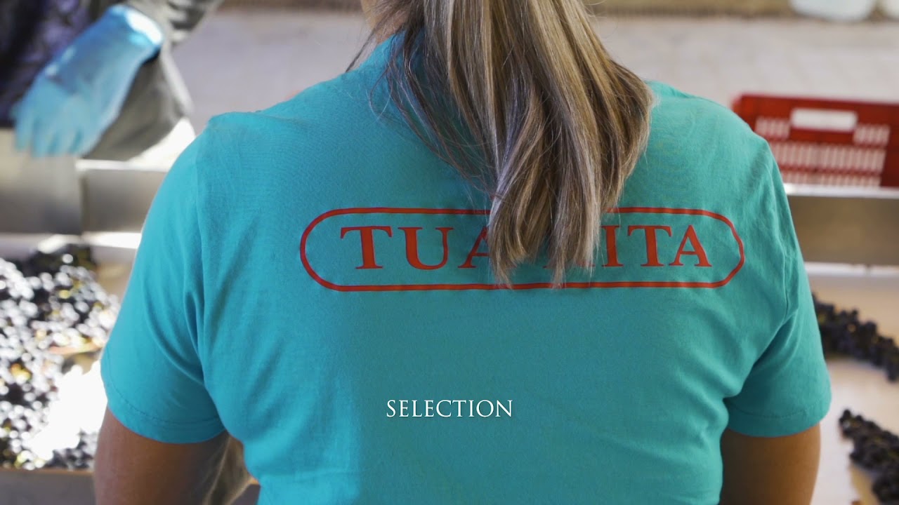 WinesCritic.com : La Grande Bellezza, Tua Rita Winery