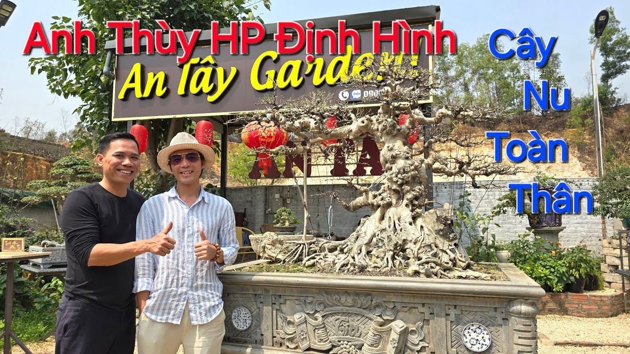 RẤT ĐÔNG AE đến TRỰC TIẾP xem anh THÙY HP tạo tác CÂY QUÝ cho NV AN TÂY - TP Chí Linh .