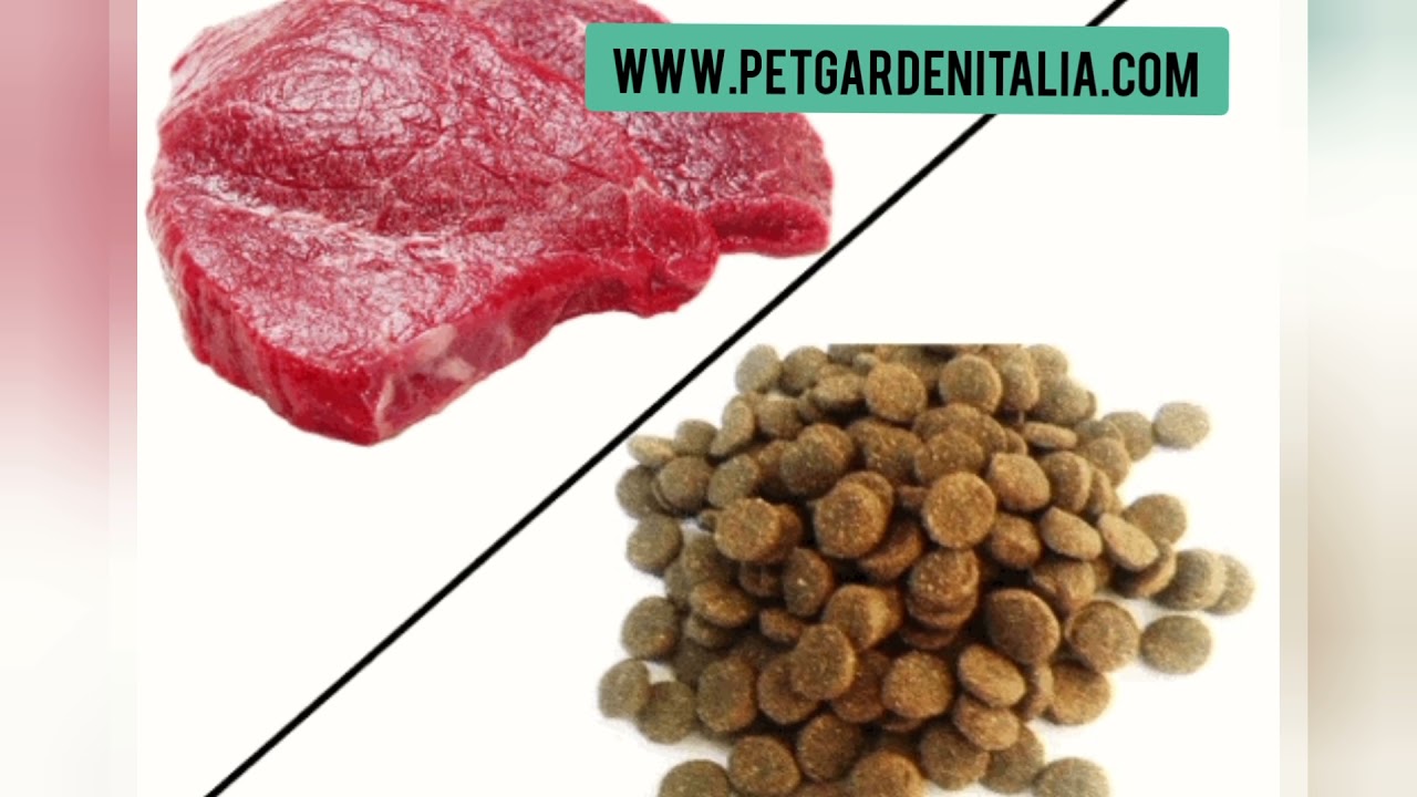 Le proteine Idrolizzate per cani e gatti.