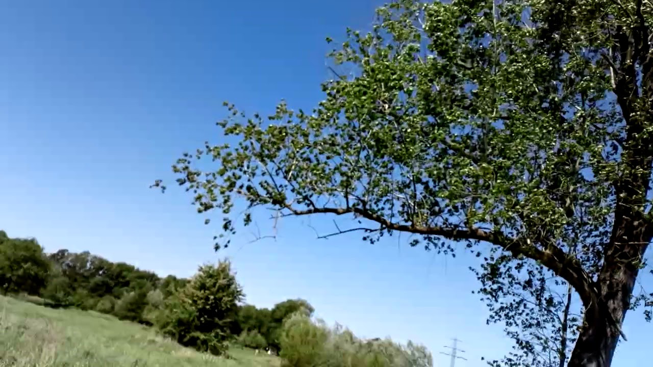 Ein Blick auf alles nahe der Pinnau