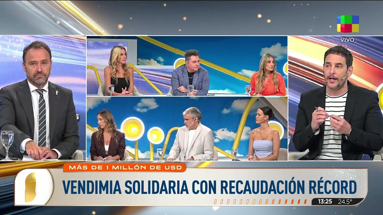 Vendimia Solidaria: fiesta, famosos y récord de recaudación en Mendoza