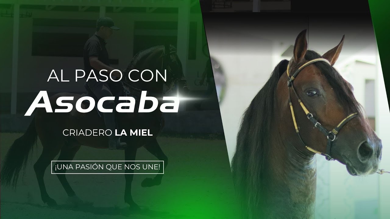 AL PASO CON ASOCABA - CRIADERO LA MIEL