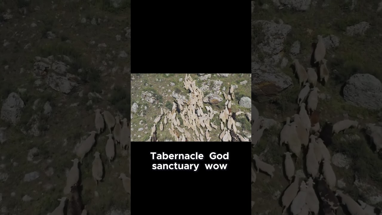 Humanity's Priestly Role in Genesis 2 