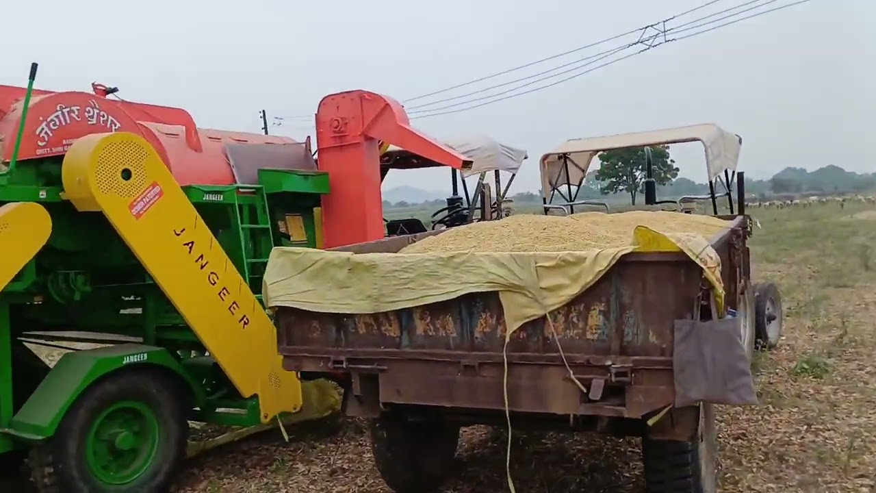 MY FIRST VLOG ||SOYABIN HARVESTING ||FARMING || EICHER485 ||JANGEER MULTICROP THESAR #YOUTUBESHORTS 