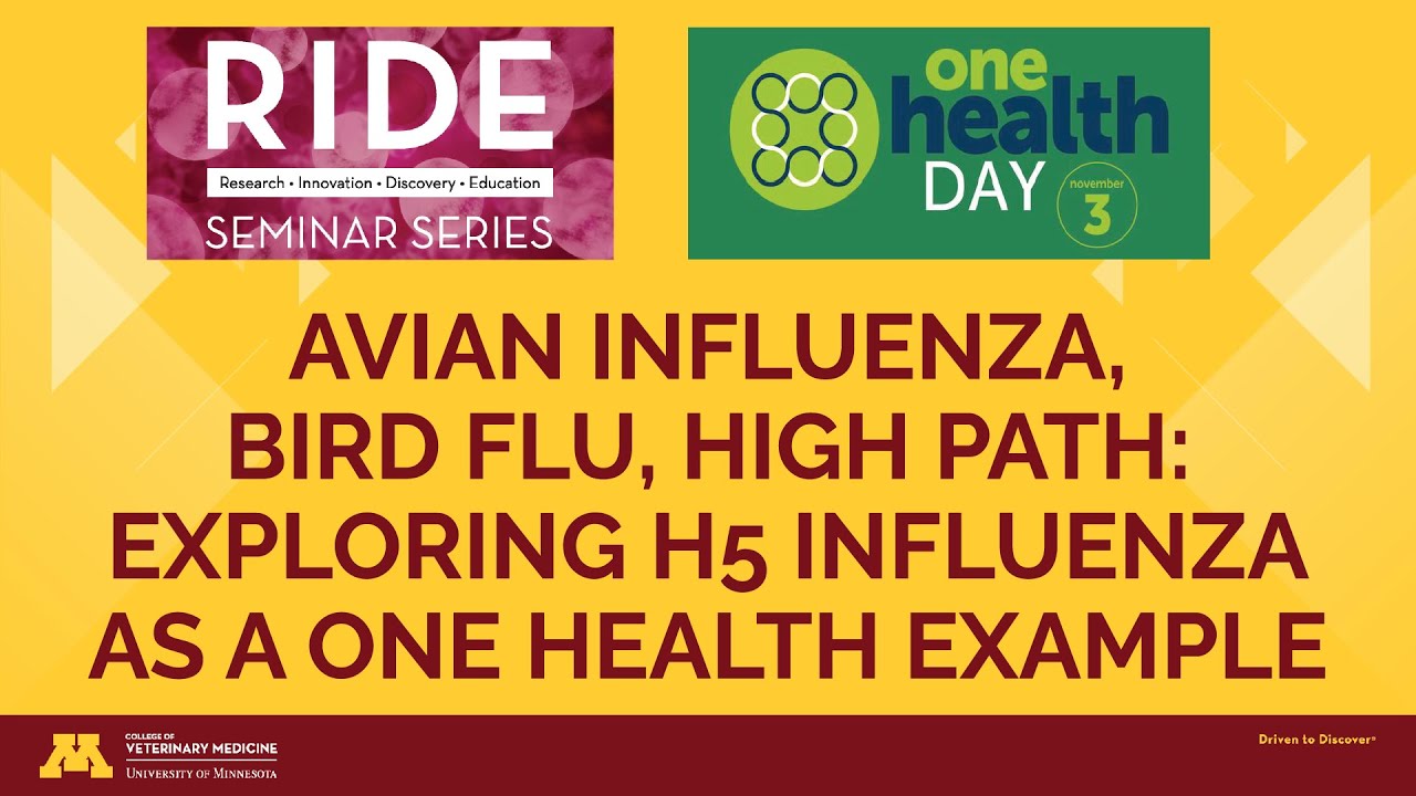 RIDE - Avian Influenza, Bird Flu, High Path: Exploring H5 Influenza
