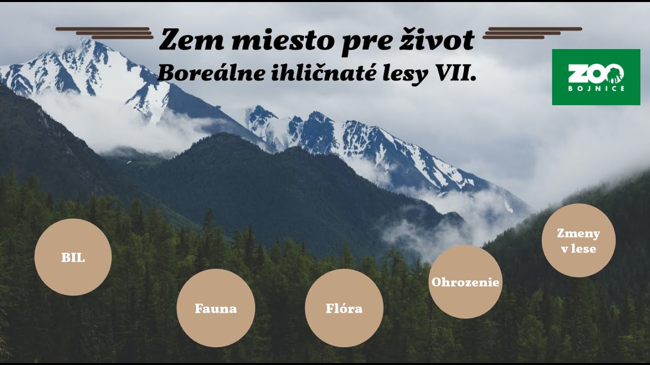 Zem miesto pre život: boreálne ihličnaté lesy VII.