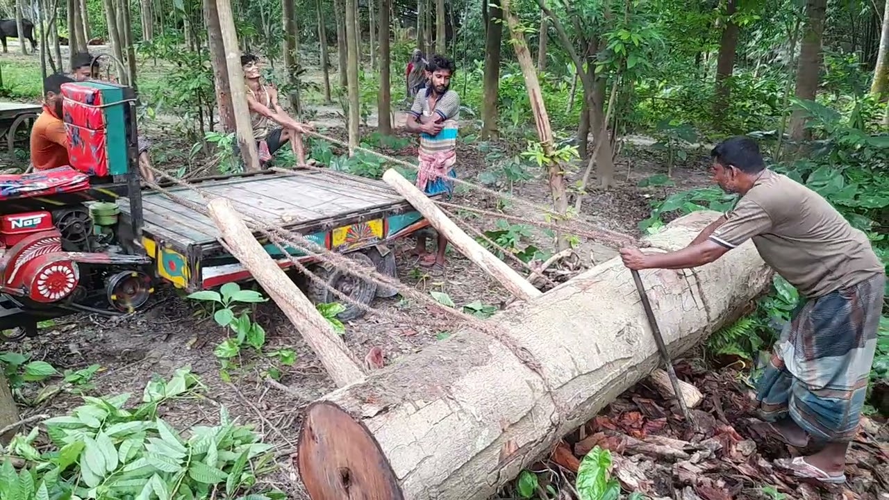 আরো জোরে হেইও- কিভাবে গাড়িতে গুড়ি উঠাই দেখুন।
