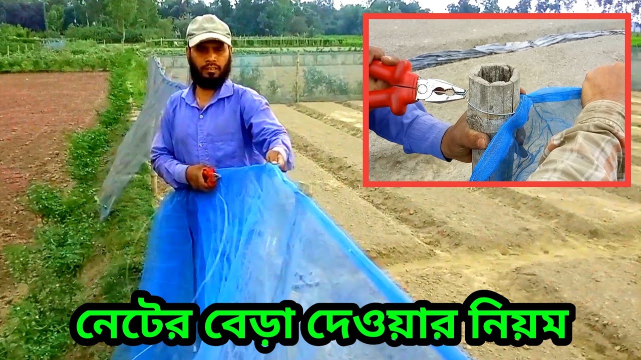 জমিতে বেড়া দেওয়ার নিয়ম | ফিল্টার নেট | মাকড়সা নেট | Filter Net Price | Spider Net | Mosquito Net