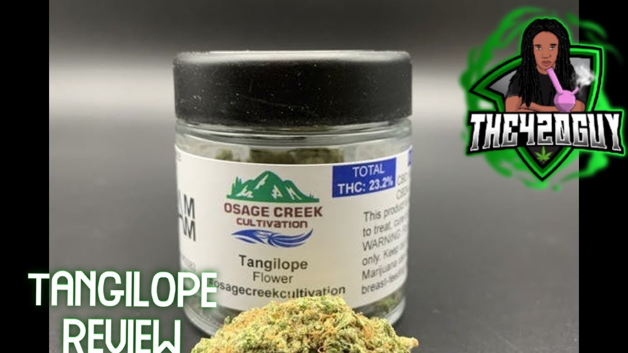 Tangilope - Osage Creek Cultivation - Medical Marijuana review