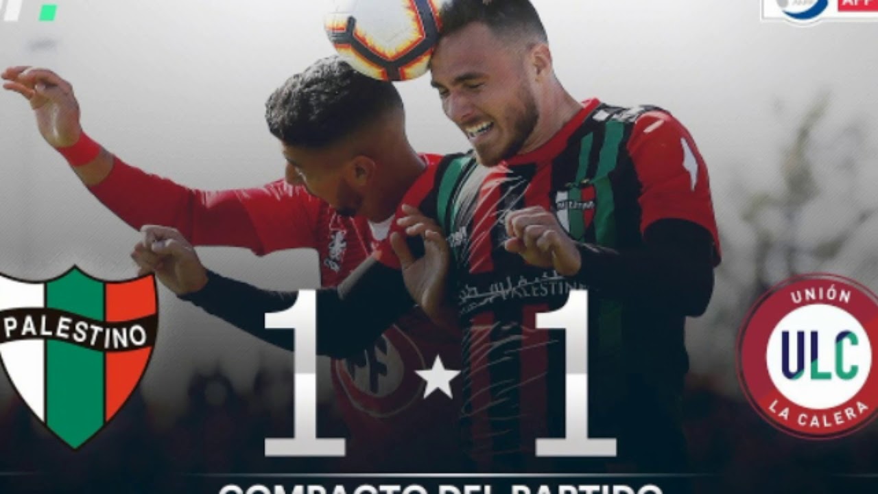 INTRO CDF 2019