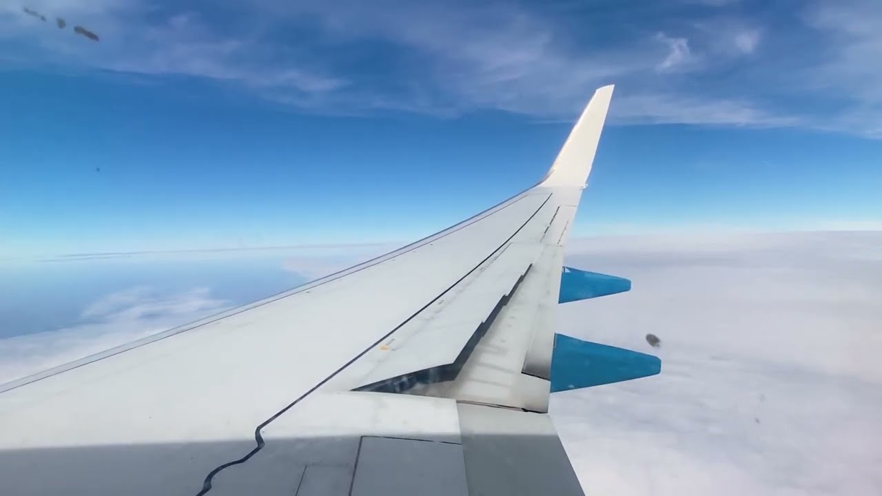 [4K] Bahamasair | Freeport FPO - Raleigh-Durham RDU | Boeing 737-700 | C6-BFX