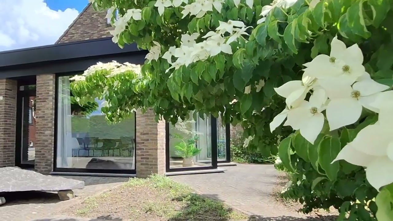Woningvideo Dorpstraat 87 Buchten
