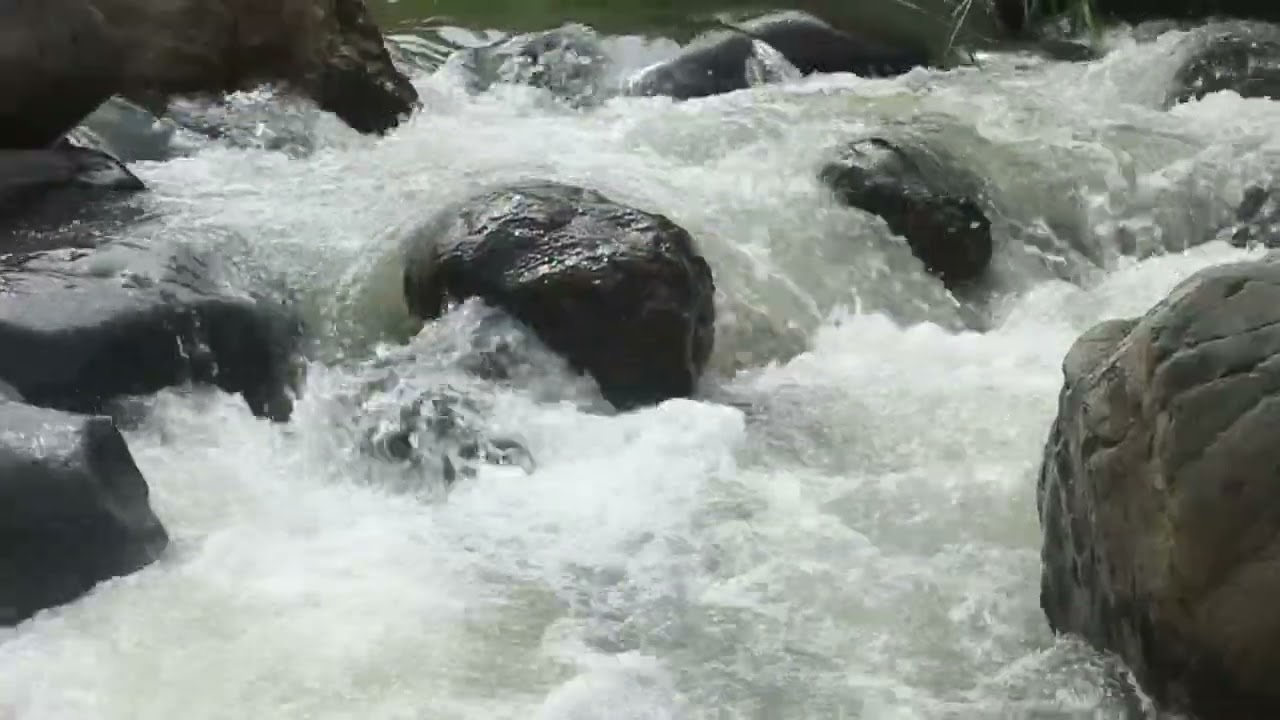 Relaxing Sounds of Flowing Water from a Rocky River to Accompany You to Sleep#asmr#asmrvideo 