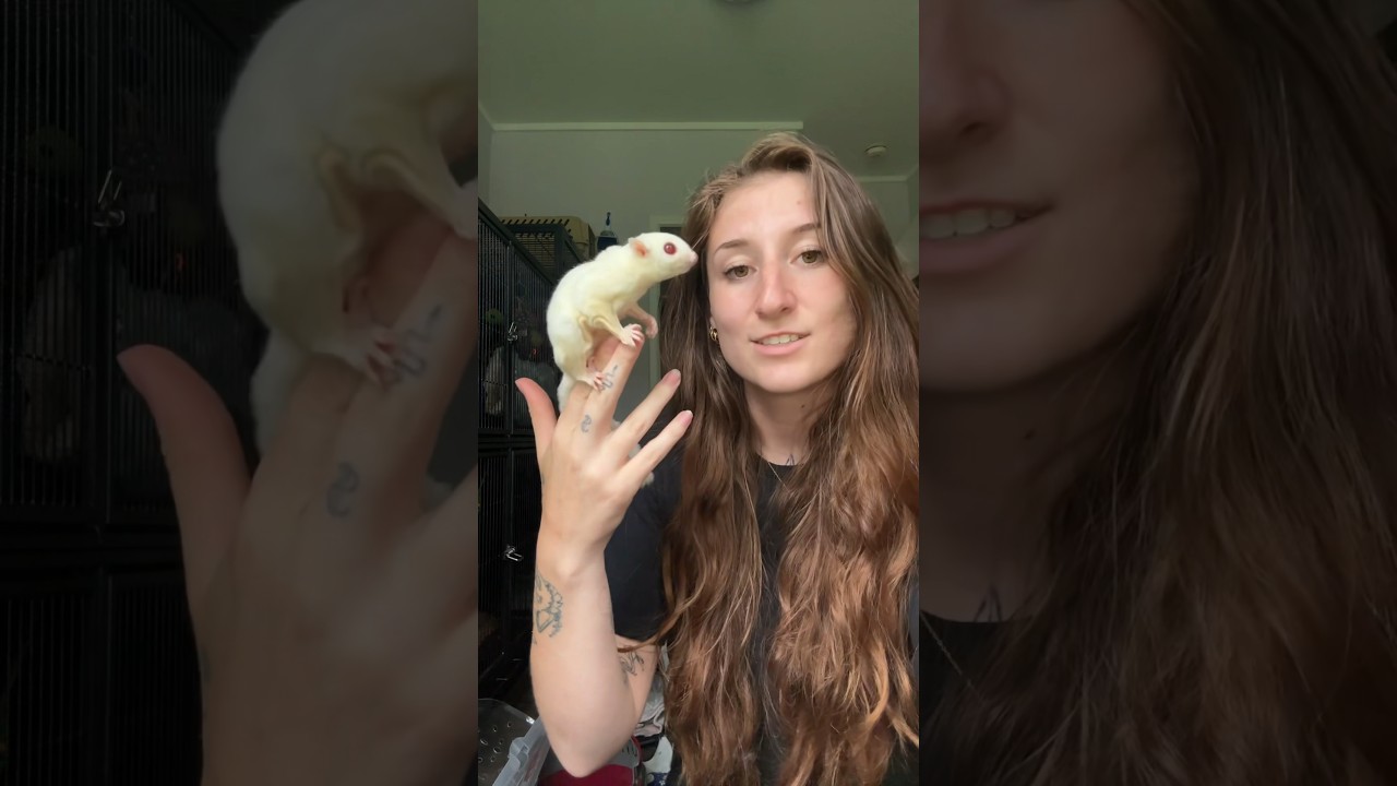 Распакуйте вместе со мной 13 ЭКЗОТИЧЕСКИХ ЖИВОТНЫХ!