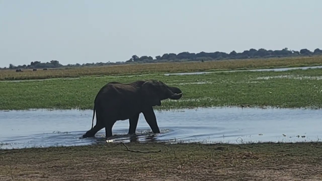 Chobe National Park is Botswana'