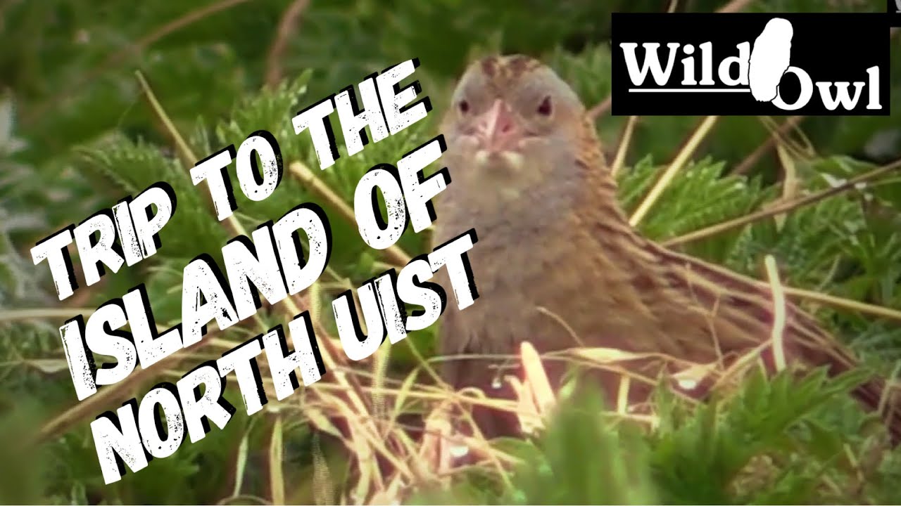 Trip to the Island of North Uist 2016