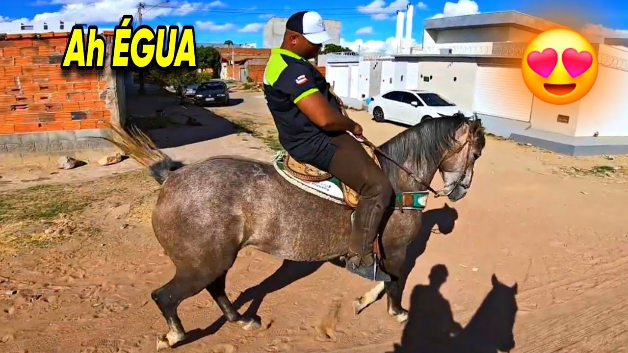 VOLTANDO PRA CASA DEPOIS DE UMA CAVALGADA TOP MONTADO NA MÁQUINA A ÉGUA DE RESPONSA