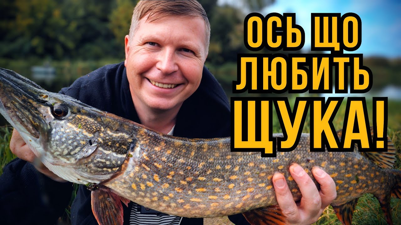 НАДУБАСИВ ЩУК на ГОРИНІ! ТРОФЕЙНА ЩУКА у вересні