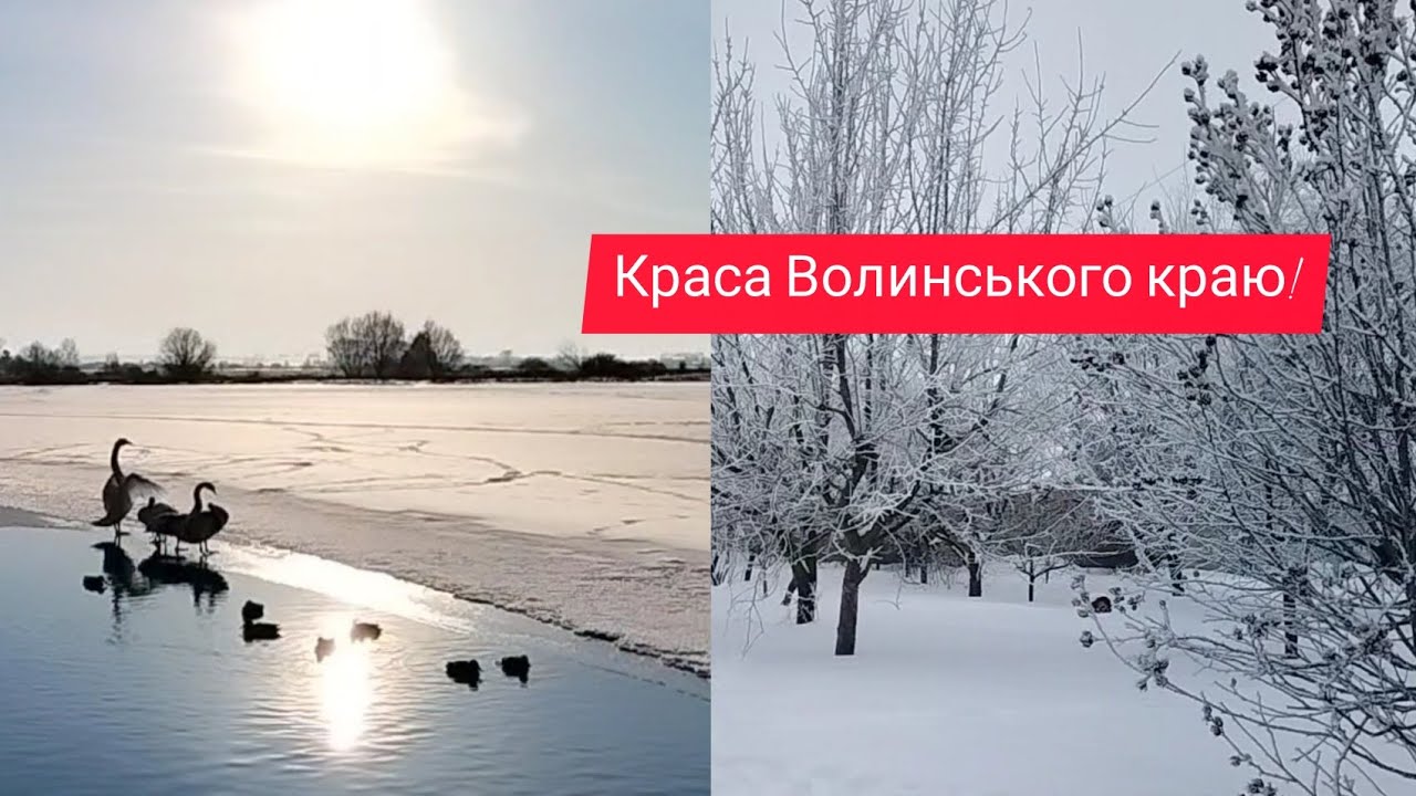 ТАКА ЗИМА БУВАЄ НЕ ЧАСТО 🥰