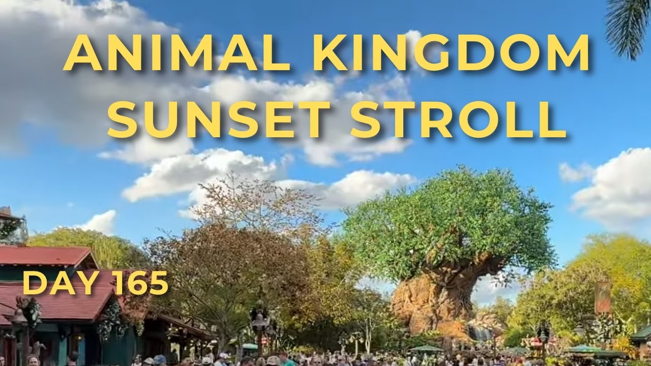 🔴 LIVE: Animal Kingdom Sunset Stroll 🌅 Tree of Life Awakenings | WOW Fam Night | Day 165