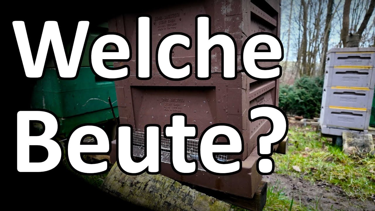 Welche Beute wählen? Resümee zur Paradise Honey Bee Box, Frankenbeute, Segeberger Beute, Combi-Beute