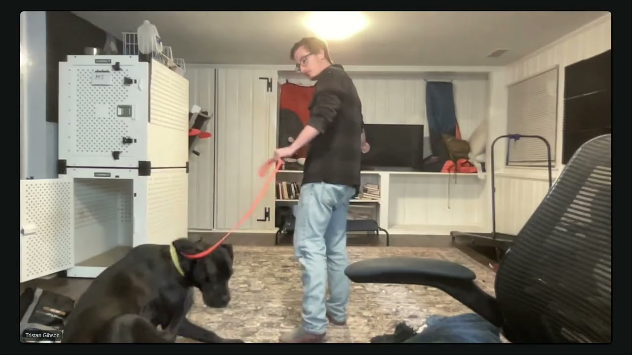 Boundaries Without the Drama | Real Dog Training