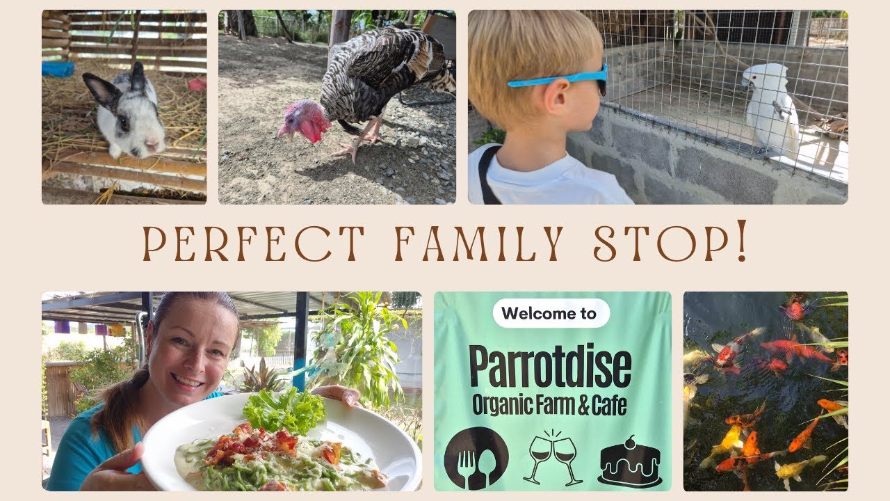 Parrotdise Organic Farm & Cafe Hua Hin Thailand | Farm Animals, Cafe & Family Fun