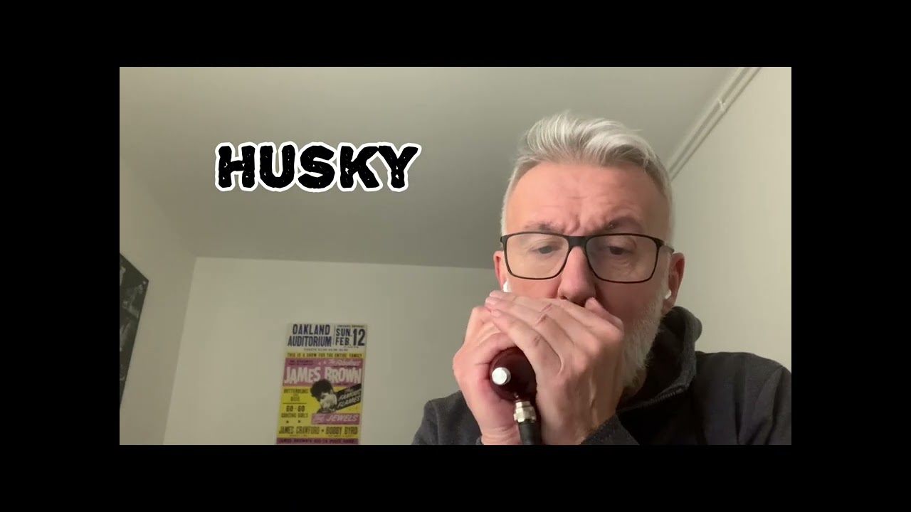 Test micros pour harmonica