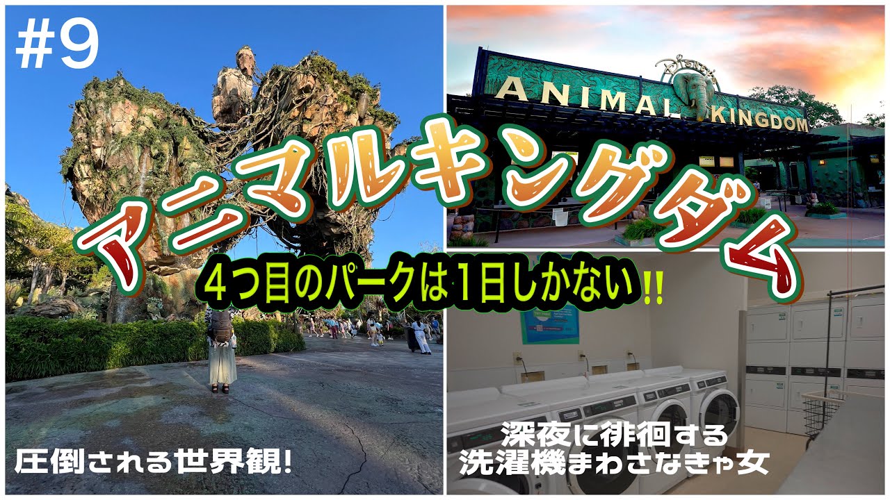 【WDW】1日で遊び尽くすアニマルキングダム!!