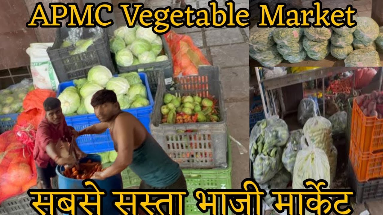 A.P.M.C Vegetable Market | Wholesale Vegetable Vashi Market | Vashi A.P.M.C Vegetable Market | Bhaji